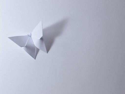 ENTRE DOBRAS E PAPÉIS, OFICINA DE ORIGAMI: BORBOLETAS EM VOO - A ELEGÂNCIA DE MICHAEL LAFOSSE, por Odete Azevedo