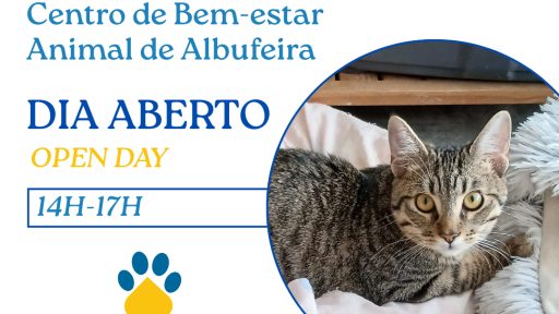Dia Aberto