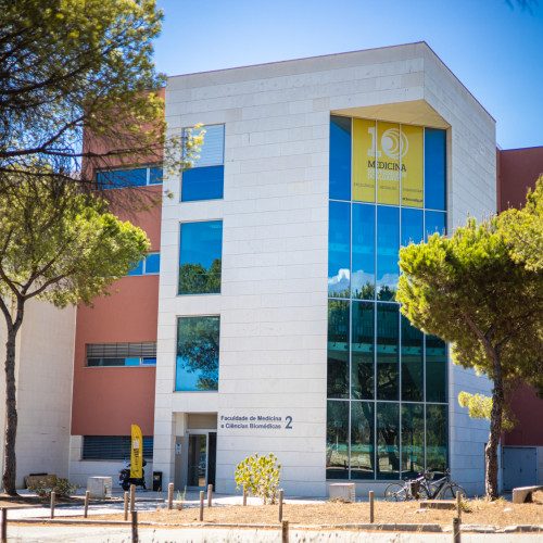 Summer Course in Cancer Research