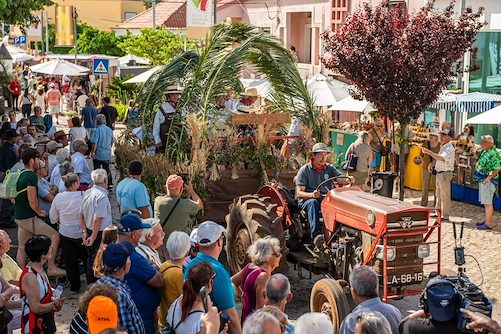 Festa da Espiga
