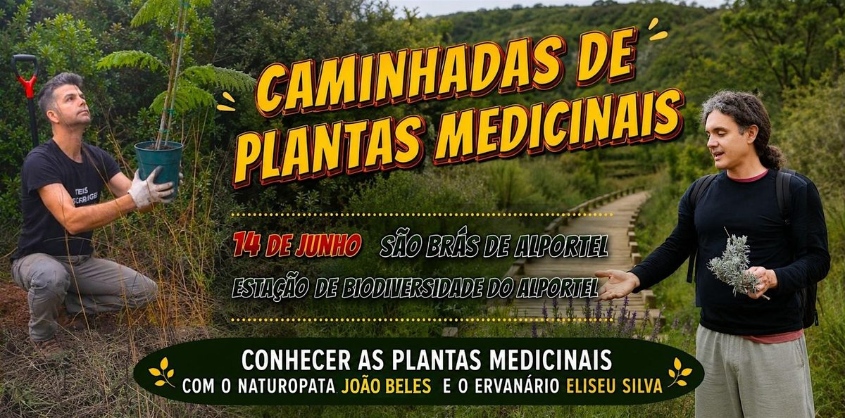 Caminhada de Plantas Medicinais em São Brás de  Alportel