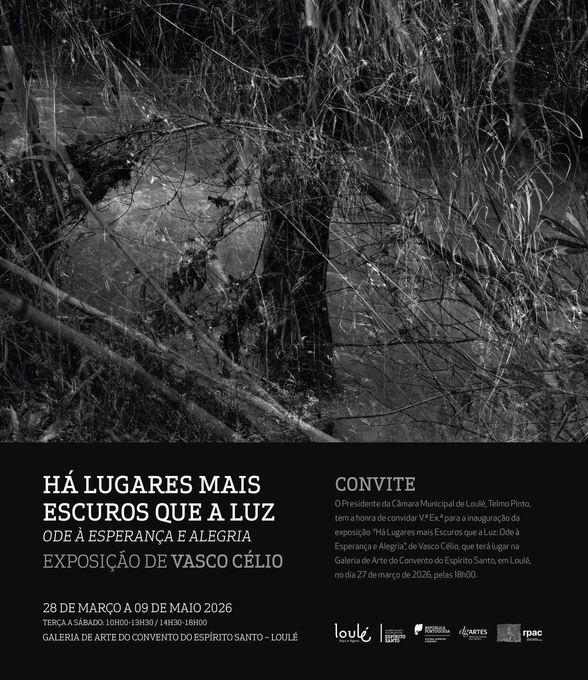 Exhibition 'There are places darker than light: Ode to Hope and Joy' by Vasco Célio