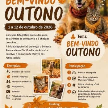 Concurso Fotográfico online - Bem-vindo Outono